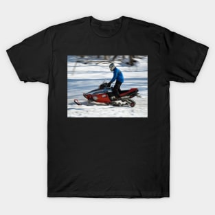 Winter Fun T-Shirt